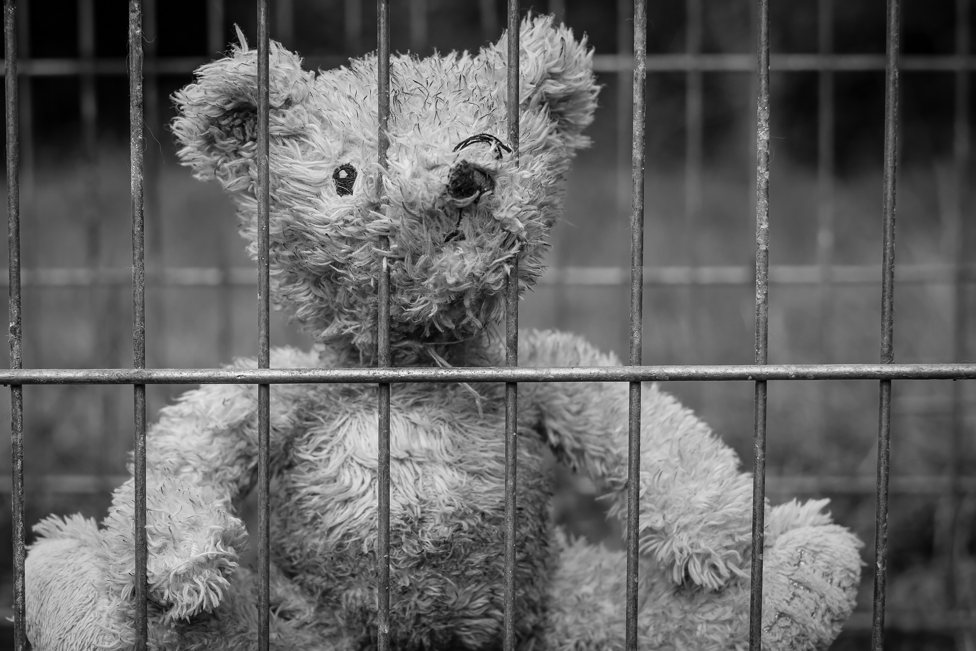 teddy-2711675_1920