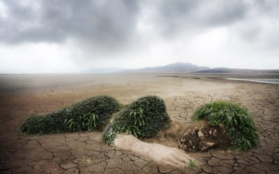 Revue d’actu – Crise climatique : des ressources pour penser et agir