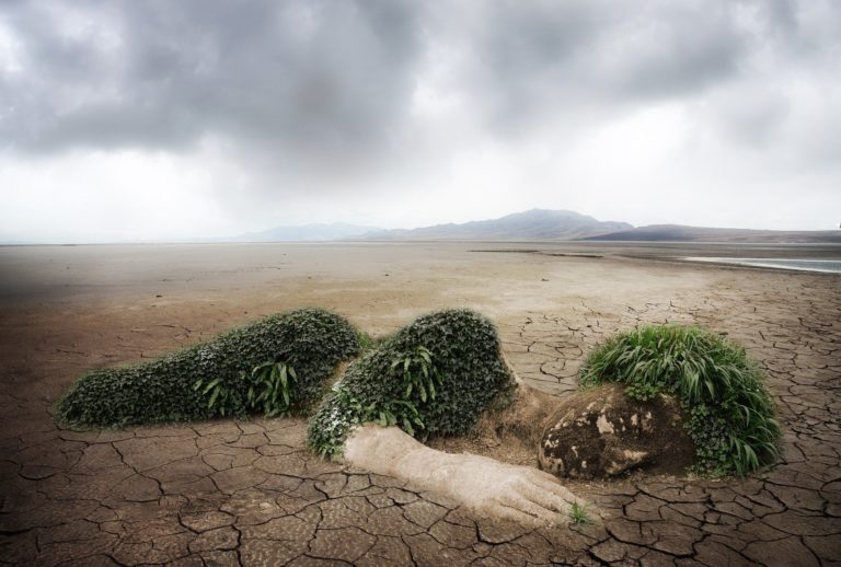 Crise climatique : des ressources pour réfléchir et agir