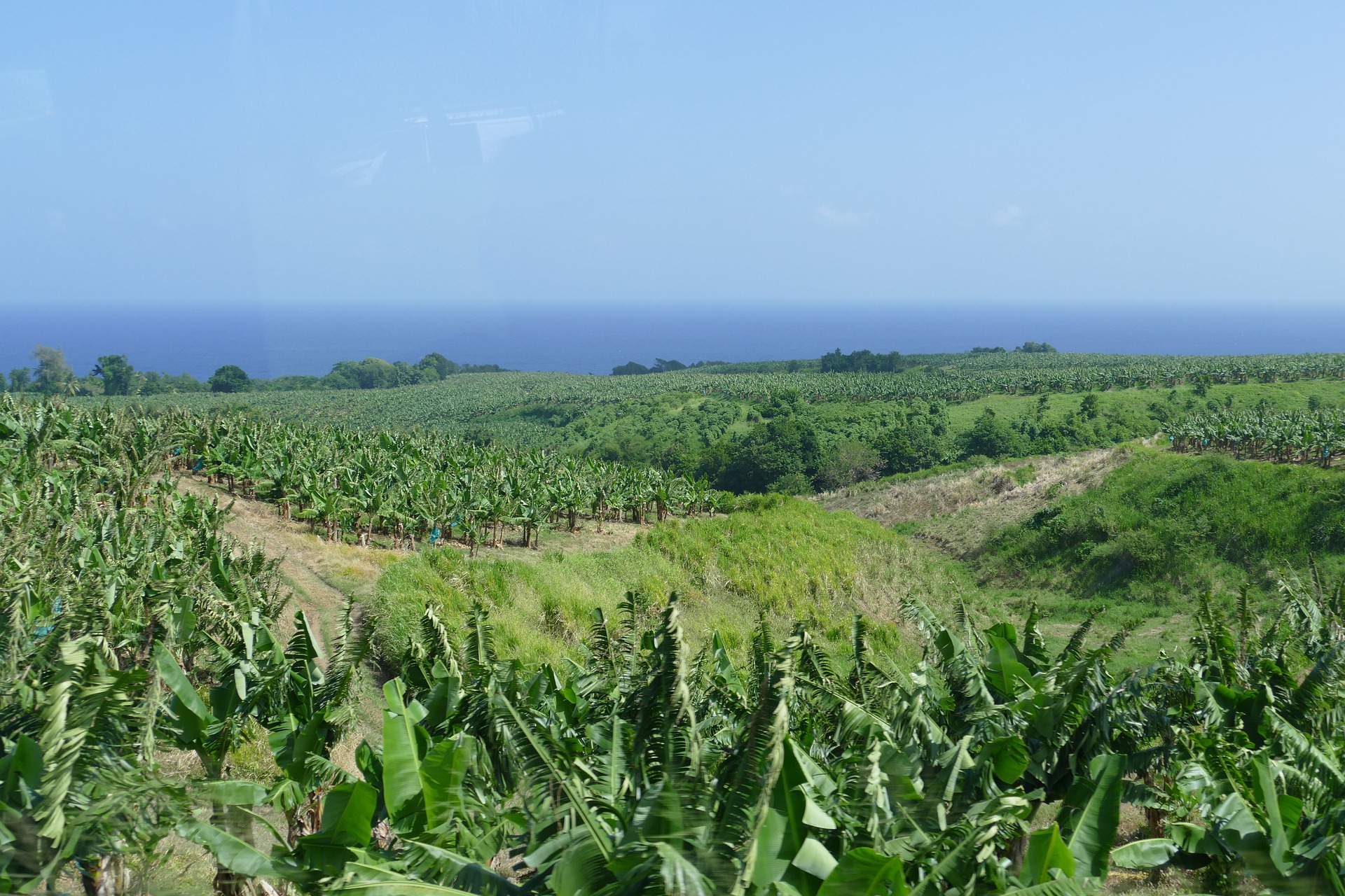 martinique-4900892_1920