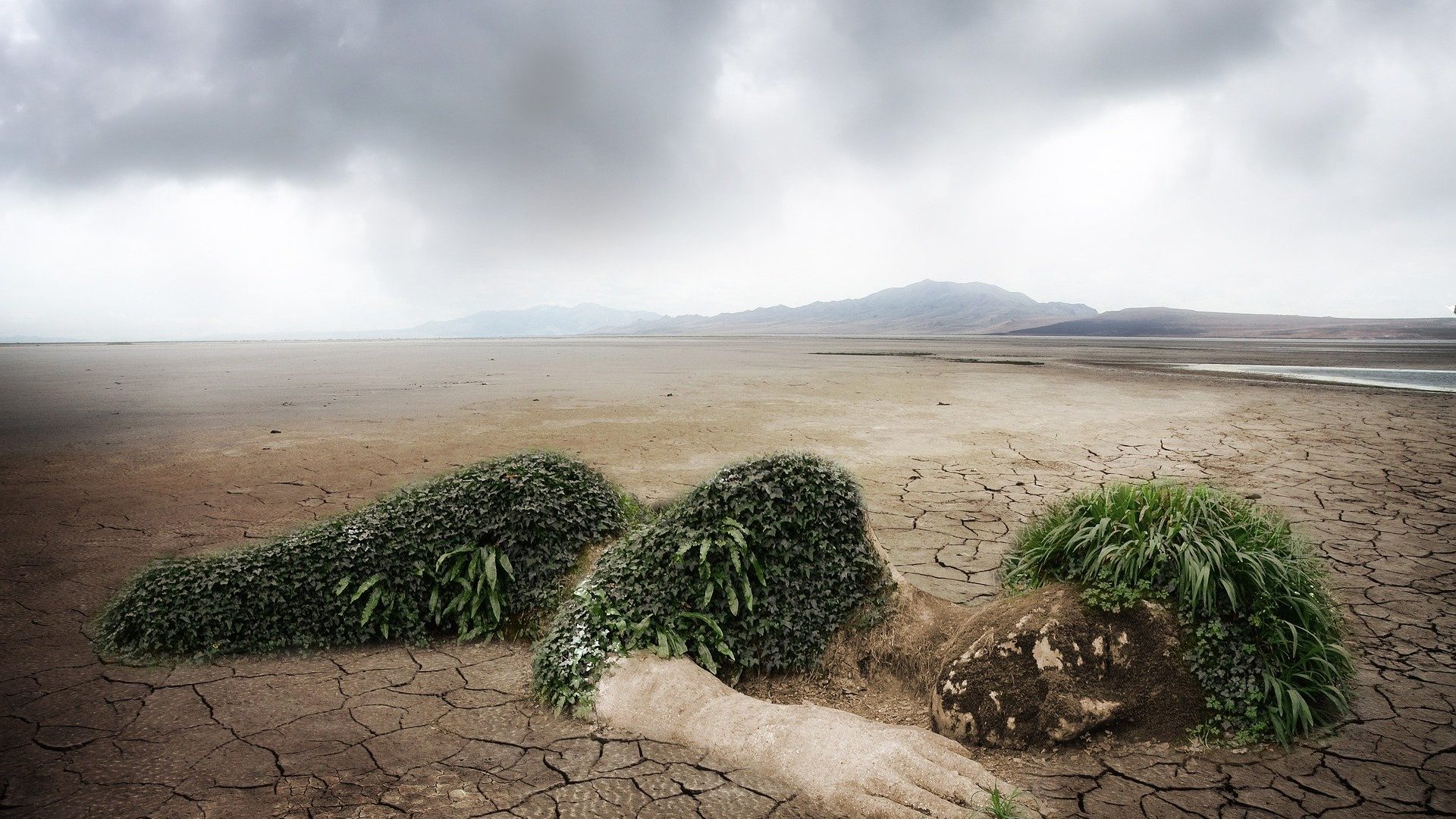 Crise climatique : des ressources pour réfléchir et agir